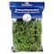12 Pack: SuperMoss® Preserved Basil Reindeer Moss
